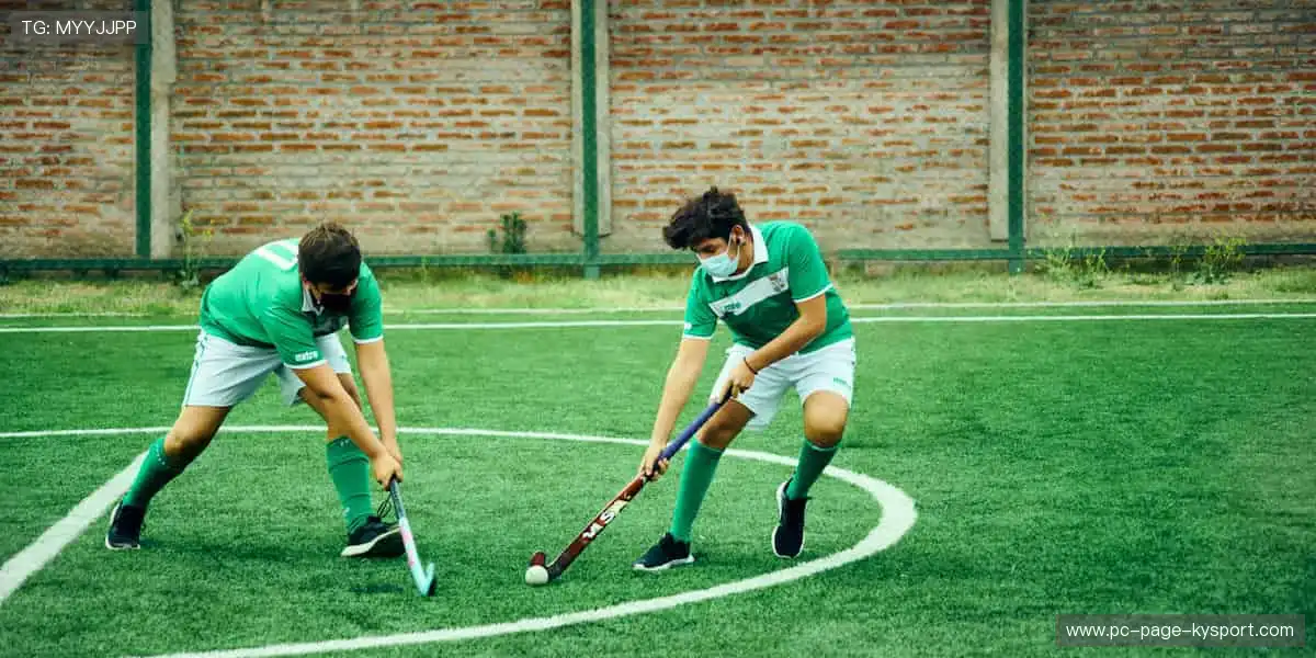 高清直播直击现场,互动狂欢点燃激情🏀